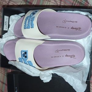 Walt Disney world purple slides size 9